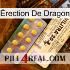 Érection De Dragon new06